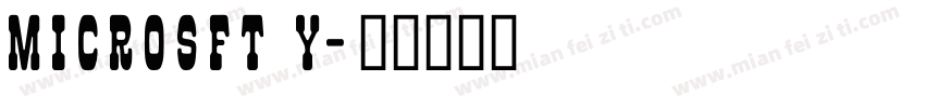 Microsft Y字体转换